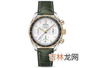 欧米茄表带价格是多少,欧米茄星座系列手表表带坏了,求价格!