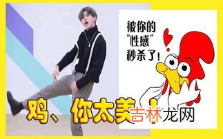 鸡你太美是什么梗,鸡你太美什么梗 鸡你太美是什么意思