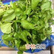 芹菜是发物吗,芹菜是发性食物吗