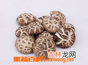 香菇不能和什么一起吃,香菇不宜与什么同食