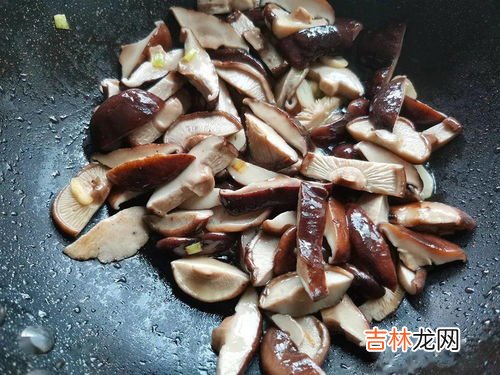 香菇不能和什么一起吃,香菇不宜与什么同食