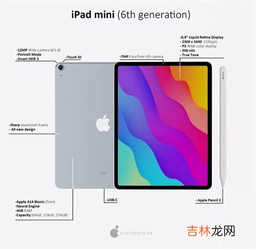 苹果或3月8日开新品发布会,iphone13promax紫色3月8日几点开始预售