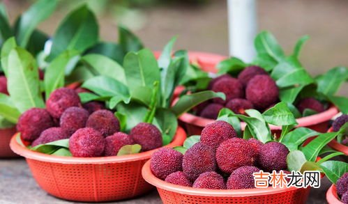 杨梅跟西瓜可以一起吃吗,西瓜芒果葡萄荔枝杨梅香瓜能一起吃吗