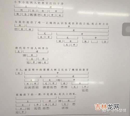 小学教育专升本,小学教育专升本都考哪些科目?