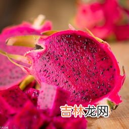 火龙果怎么种,如何种植火龙果