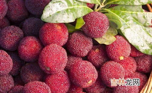 杨梅可以用盐水泡一晚上吗,杨梅用盐水泡多久 冻杨梅需要用盐水浸泡吗