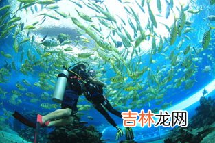 哪个季节适合去三亚,什么季节去三亚比较好?