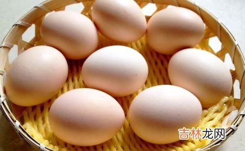 绿皮鸡蛋的营养价值,绿壳蛋的营养