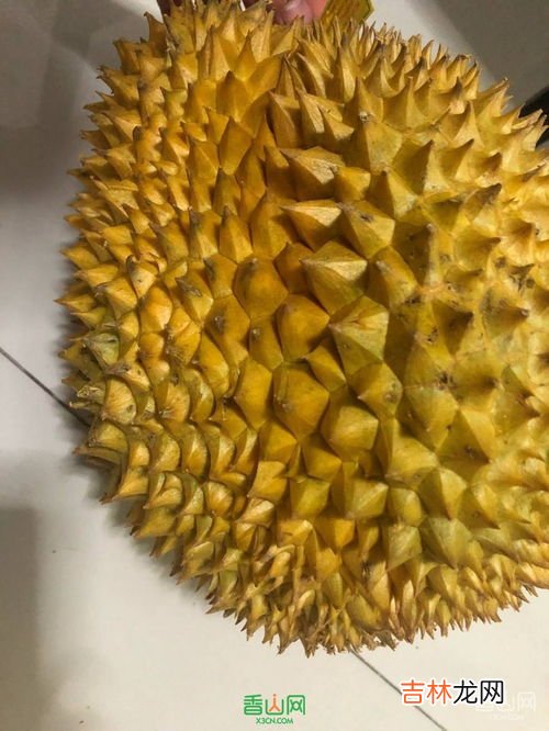 如何挑选榴莲,如何挑选榴莲