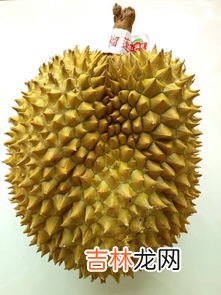 如何挑选榴莲,如何挑选榴莲