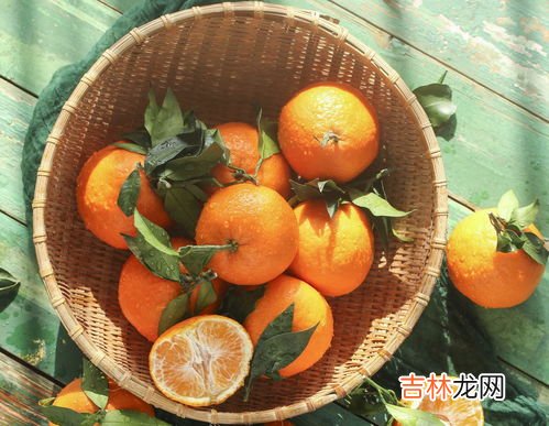 桔子的寓意,柑橘的寓意是什么