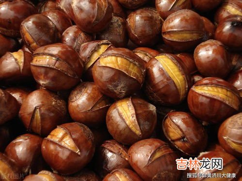 板栗发芽了还能吃吗,发芽栗子可以吃吗