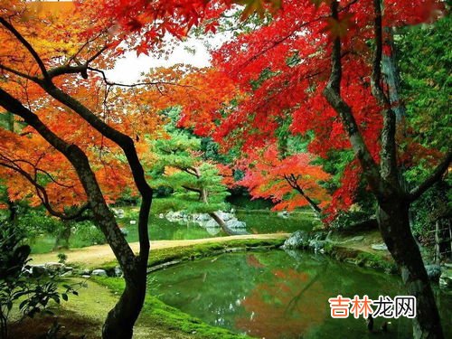 朋友圈发枫叶怎么写,朋友圈枫叶佳句