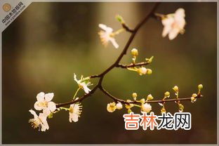 梅雨季节家里潮湿怎么办,梅雨季节有什么防潮的小窍门