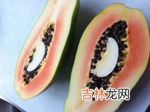 木瓜里的黑色籽能吃吗,木瓜子能吃吗
