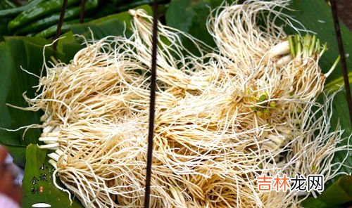 大蒜根须的功效与作用,蒜苗根须可以吃吗?