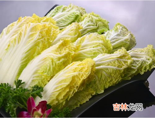 白菜和娃娃菜一样吗,娃娃菜和大白菜有什么区别