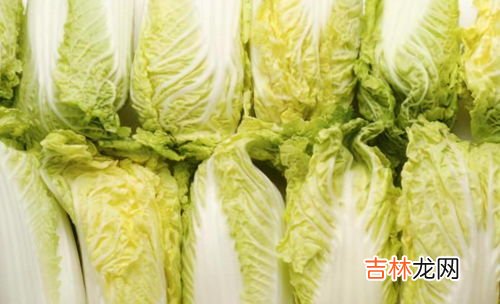 白菜和娃娃菜一样吗,娃娃菜和大白菜有什么区别