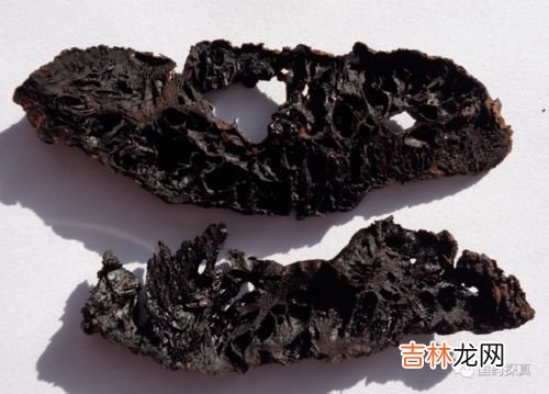 生地黄和熟地黄的区别,生地黄和熟地黄的区别有哪些
