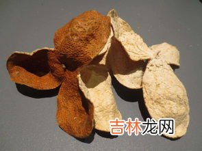 桔皮和陈皮有什么区别,陈皮和橘皮有什么区别