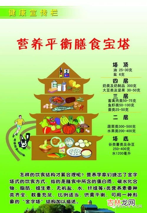 平衡膳食宝塔五层结构,中国饮食结构