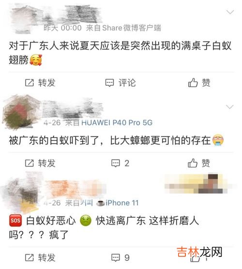 晚上开窗有飞虫怎么解决,夏天晚上开灯有很多小飞虫怎么办?