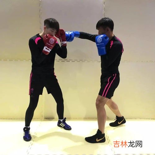 拳击的基本三个动作,拳击的基本动作