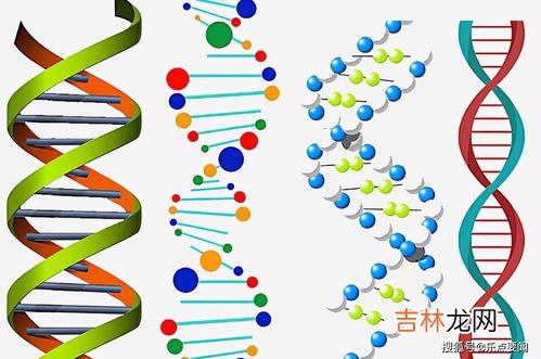 dna变性的原因,DNA变性和蛋白质变性的不同点，请说明理由