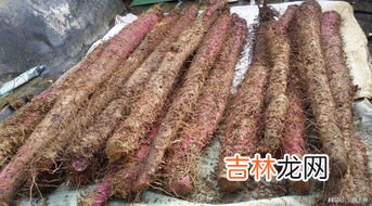 山药长得像脚掌是什么原因,河南女子买到山药像极了人脚,相似度究竟有多高?