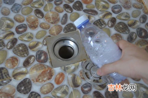 马桶里有飞虫怎么消灭,厕所的小飞虫到底有什么办法根治