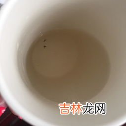 马桶里有飞虫怎么消灭,厕所的小飞虫到底有什么办法根治
