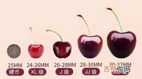 车厘子j级是什么意思,j级车厘子是什么意思