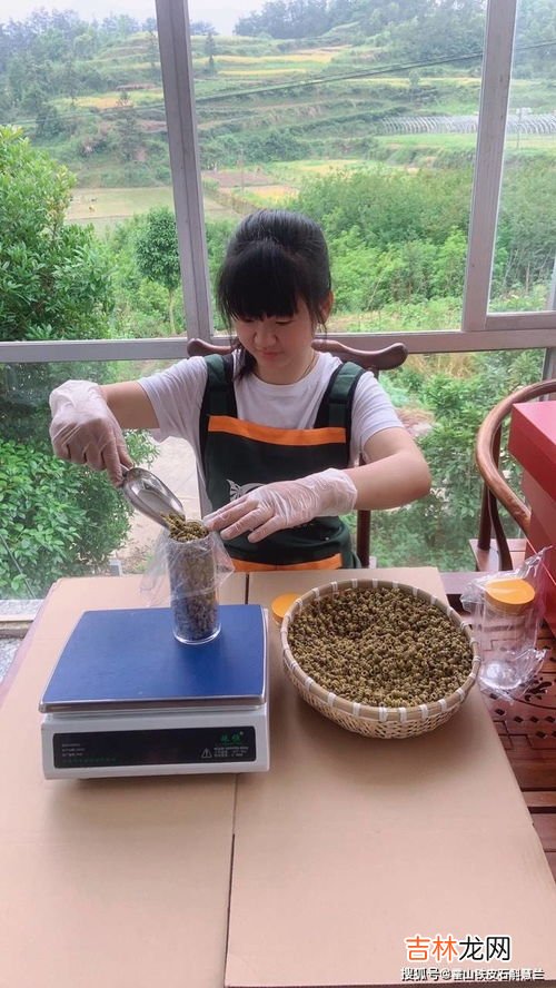石斛粉的正确吃法,铁皮石斛粉怎么吃？
