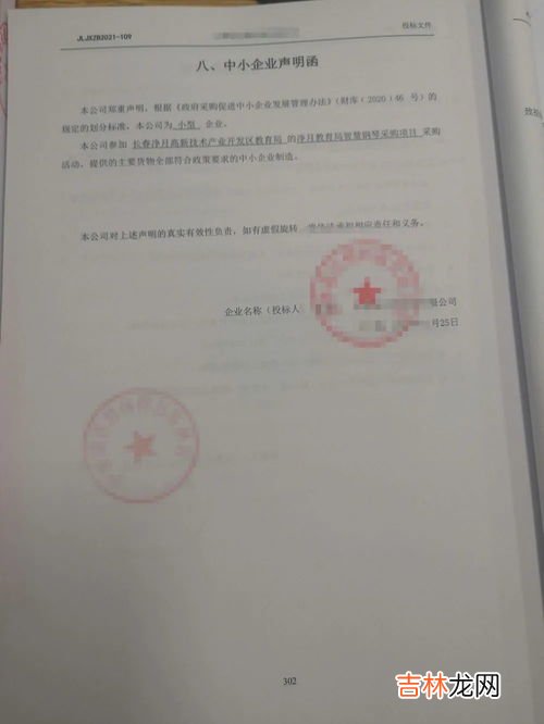 声明格式,申明的格式及写法是什么？