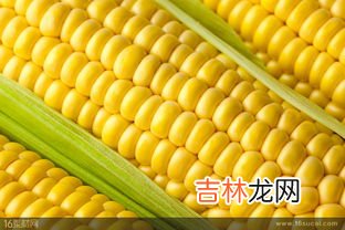 新鲜玉米常温下可以放多久,新鲜玉米可以放几天 新鲜玉米存放时间