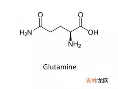 氨在血液中的运输形式是,氨的运输所涉及的机制