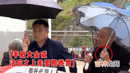 父亲告上大学女儿索要赡养费,女大学生不给赡养费被父亲起诉怎么办?