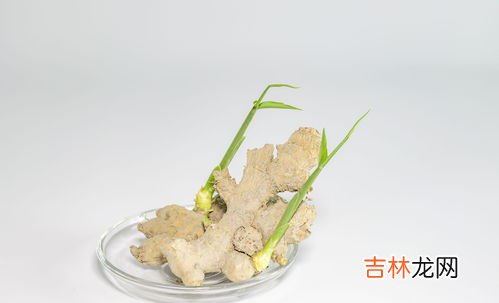 生姜长芽还能吃么,生姜长芽子了还能吃吗