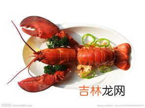 龙虾吃什么,龙虾吃什么