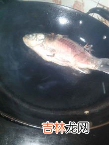 鲫鱼和冬瓜相克吗,鲫鱼可以和冬瓜一起吃吗?鲫鱼能和冬瓜同吃吗?