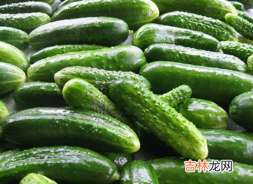 黄瓜有点苦怎么处理,黄瓜苦味怎么办