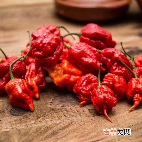 吃辣条第一人是不是发明者,辣条是谁发明的啊?