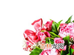 买的鲜花花束怎么保持时间久一点,收到的鲜花怎么保存的久一点