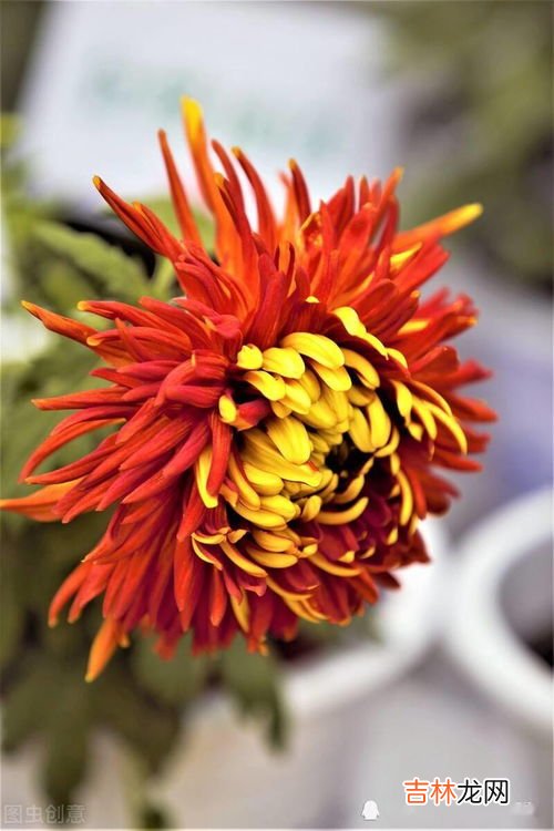 梅雨季节注意哪些,梅雨季节有哪些注意事项