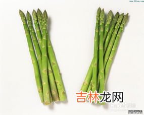 芦笋食用禁忌,芦笋的功效与作用及禁忌