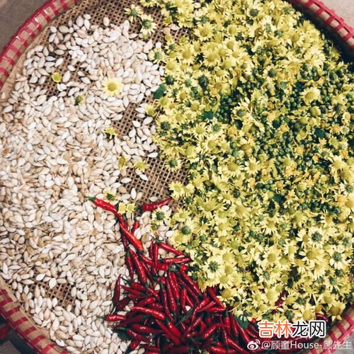 新鲜野菊花怎么处理泡茶 山上的野菊花摘回来怎么处理,摘的新鲜野菊花怎么处理
