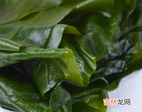 海带上有小疙瘩能吃吗,海带表面总是出现“小疙瘩”,这到底能不能吃?