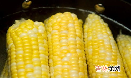 玉米棒子煮多久能熟,玉米一般煮多久能熟?