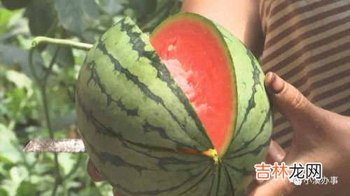 西瓜有点烂了还可以吃吗,西瓜外皮坏了还能吃吗 可以吃外皮坏了的西瓜