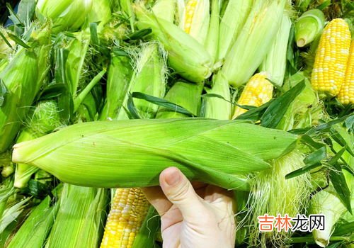 玉米可以放冰箱保鲜吗,玉米能放冰箱吗